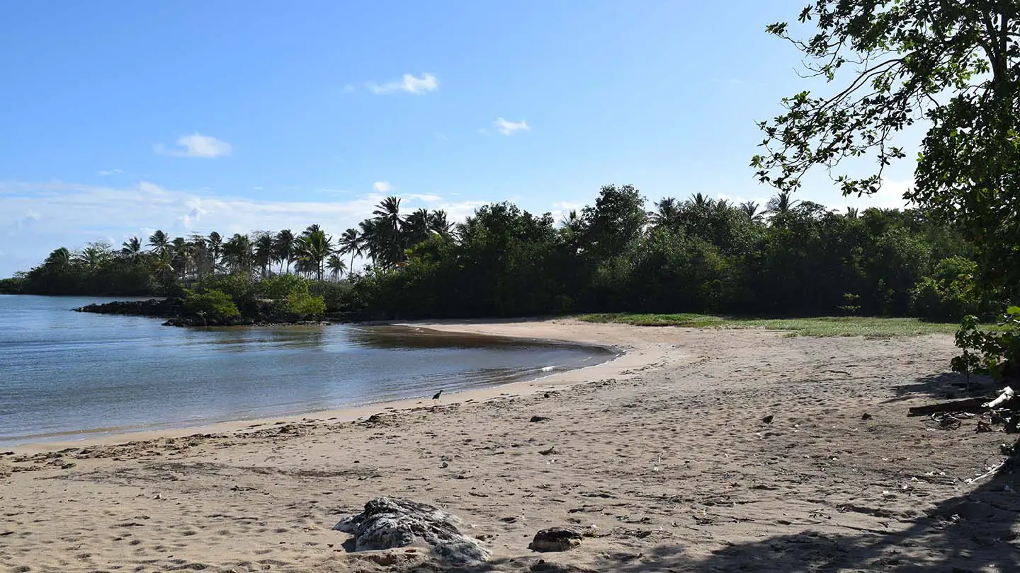 Une plage bien paisible le matin de bonne heure baie Nord-Ouest à Le Moule Guadeloupe